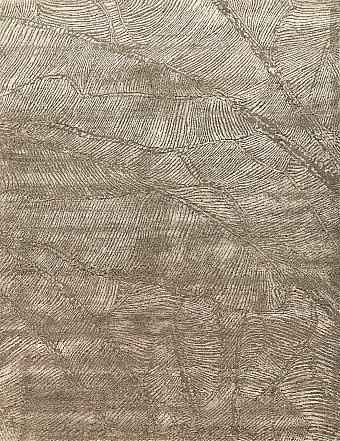 Индийский Silen ковер №5486 246x190cm из шелка и шерсти