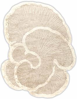 Запрос цены