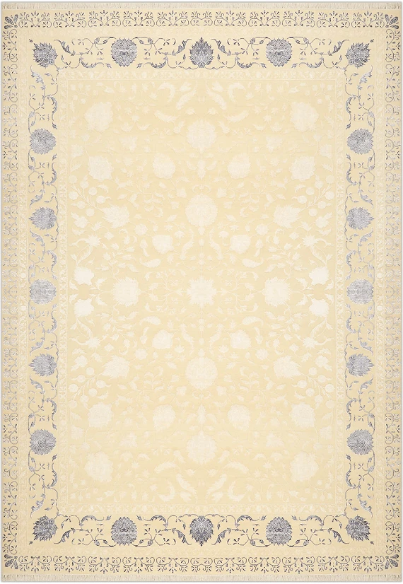 Rajastan Neo