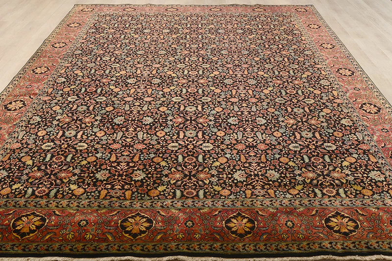 Shiraz