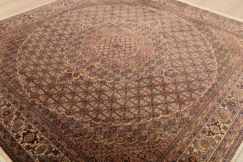 Shiraz