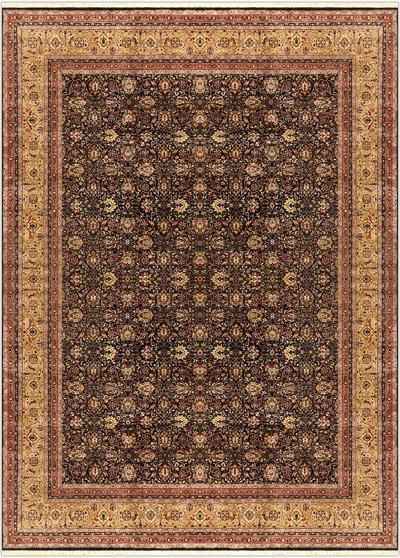 Shiraz
