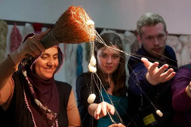 Разматывание коконов тутового шелкопряда