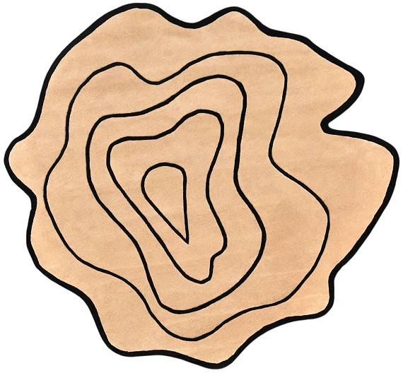 Шерстяной Индийский ковер Wooly №5549 200x200cm