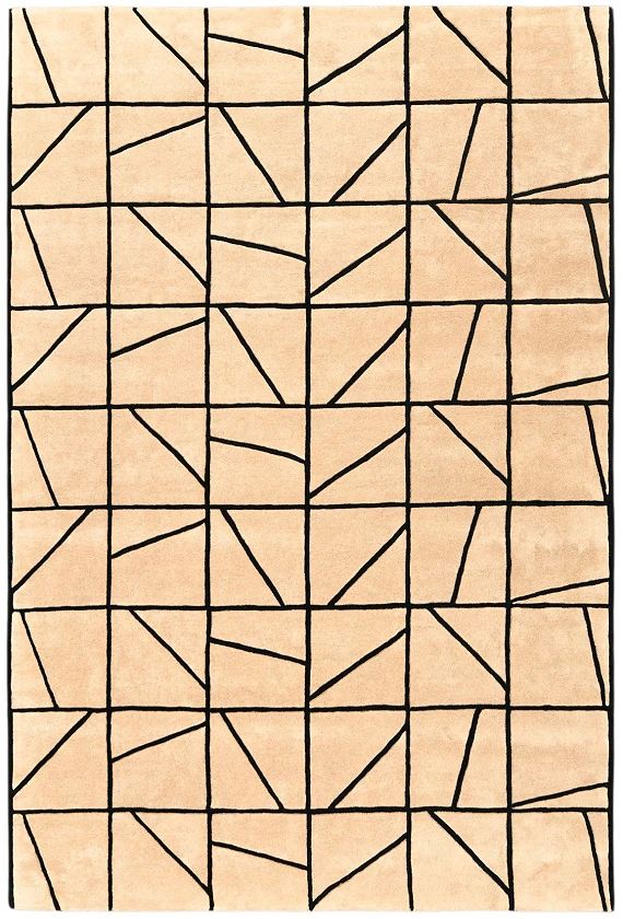 Шерстяной Индийский ковер Wooly №5561 300x200cm