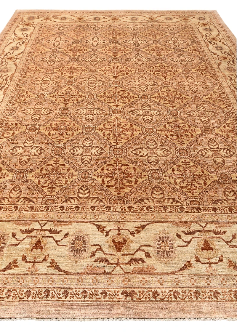 Saltani