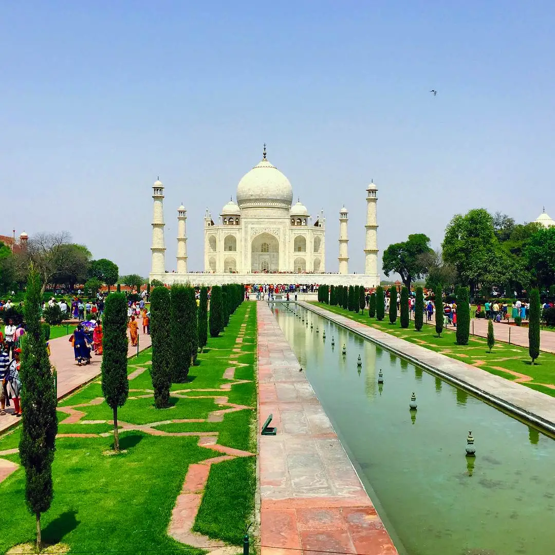 Искусство ковроткачества в Индии