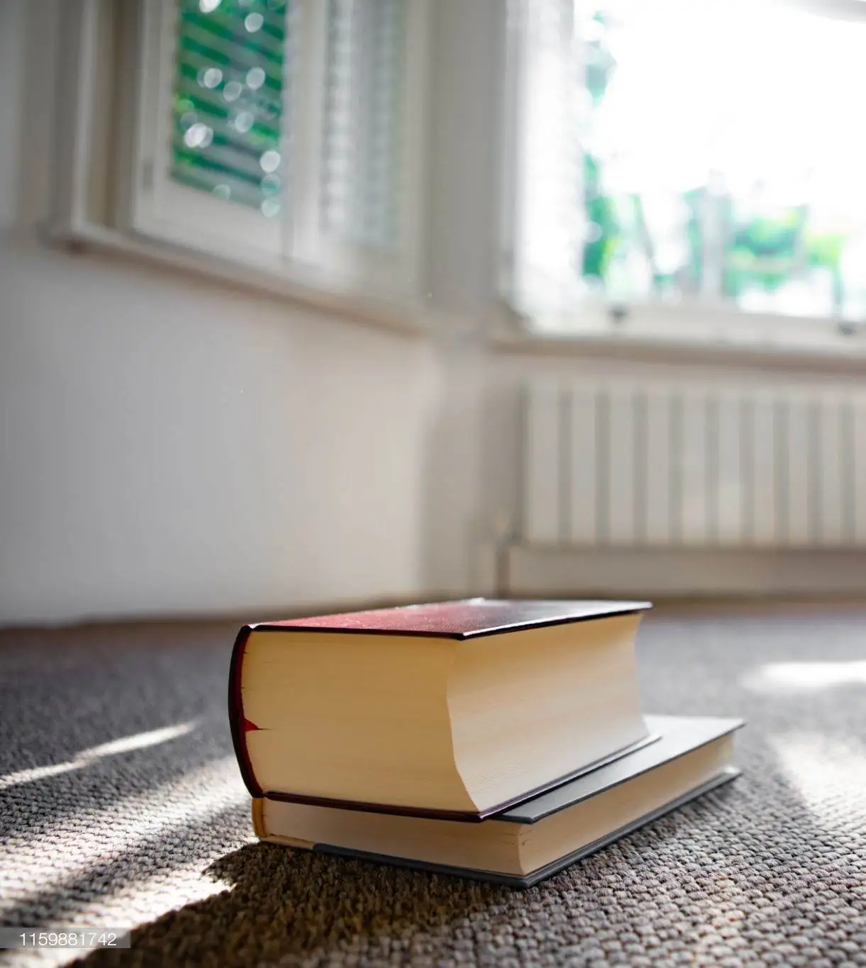 Терминология ковроткачества